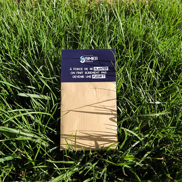 sachet graines